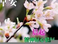 三月廿二(三月廿二是几月几日)