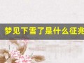 梦见下雪了是什么征兆 女性(梦见下雪了白茫茫一片什么预兆)