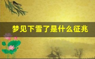 梦见下雪了是什么征兆 女性(梦见下雪了是什么征兆 女性周公解梦)
