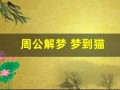 周公解梦 梦到猫(周公解梦梦到猫生小猫)