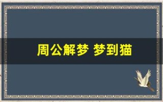 周公解梦 梦到猫(周公解梦梦到猫生小猫)