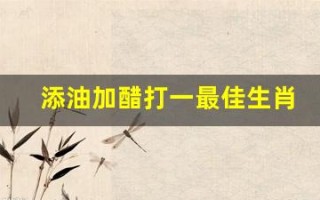 添油加醋打一最佳生肖(添油加醋下一句)
