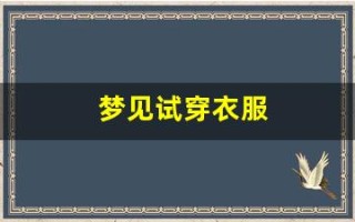 梦见试穿衣服(梦见试穿衣服有点小)
