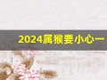 2024属猴要小心一个人(2024属猴要小心一个人2024年第几个月)