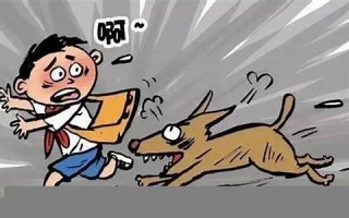 梦见被够狗咬了预示着什(梦见被够狗咬了预示着什么意思男性)