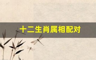 十二生肖属相配对(十二生肖属相配对大全)