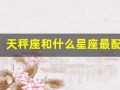 天秤座和什么星座最配(让天秤爱到疯狂的星座)
