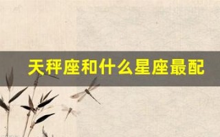 天秤座和什么星座最配(让天秤爱到疯狂的星座)