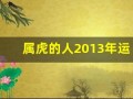 属虎的人2013年运程大全及破解(2013年生人2021年运势)