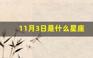 11月3日是什么星座(阳历11月3日是什么星座)