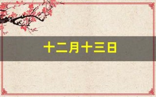 十二月十三日(十二月十三日南京大屠杀纪念日)