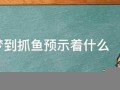 做梦梦到抓鱼(梦见自己抓鱼是什么意思)