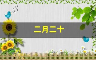 二月二十(二月二十一日是什么星座)