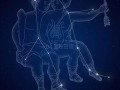 双子星座2(双子星座2024年6月)