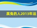 属兔的人2013年运程(属兔2013年运势及运程)