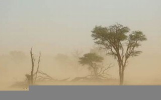 梦见风沙(梦见风沙很大是什么预兆)