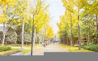2012年12月5日(2012年12月5日到现在多少天)