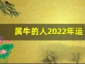 属牛的人2022年运势及运程(属牛的人2022年的运势及运程)