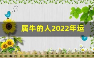 属牛的人2022年运势及运程(属牛的人2022年的运势及运程)