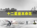 十二星座本命花(十二星座本命花简笔画)