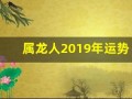 属龙人2019年运势(属龙人2025全年运势详解)