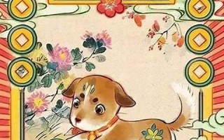 狗年运势(2025属狗年运势)