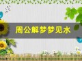周公解梦梦见水(周公解梦梦见水牛追我)