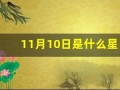 11月10日是什么星座(10月份是什么星座的)