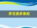 梦见很多条蛇(梦见很多条蛇是什么预兆)