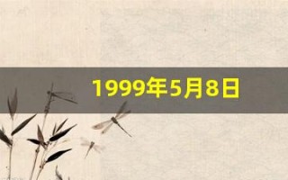 1999年5月8日(1999年5月8日新闻联播视频)