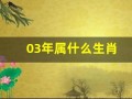 03年属什么生肖(96年属什么生肖)