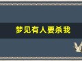 梦见有人要杀我(但没成功)