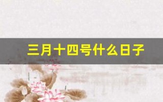 三月十四号什么日子(三月十四号是)