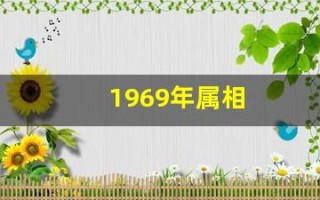 1969年属相(81年鸡43岁后十年大运运程)